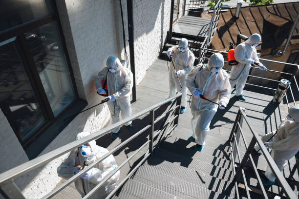 Best Mold Prevention Services  in Palm Bay, FL