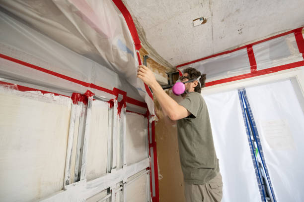 Best Real Estate Mold Inspection  in Palm Bay, FL