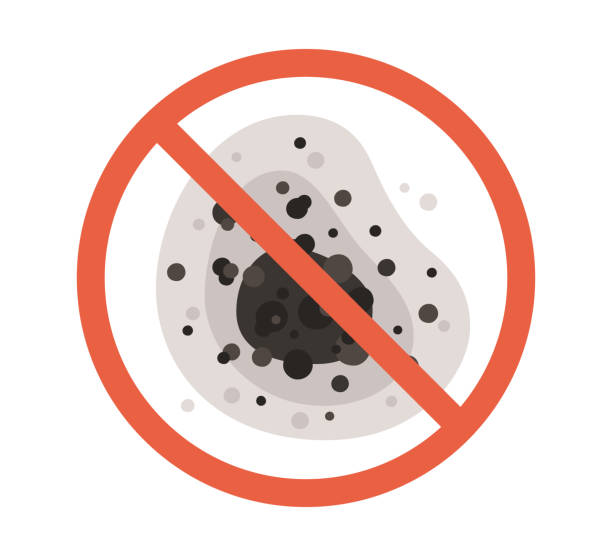 Best Mold Remediation for Healthcare Facilities  in Palm Bay, FL