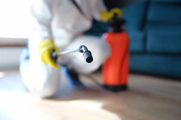 Best Comprehensive Air Testing for Mold Contaminants  in Palm Bay, FL